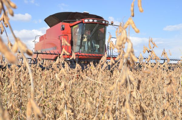 Agroneg&oacute;cio cresce 11,5% e sustenta retomada da economia do Paran&aacute; em 2017