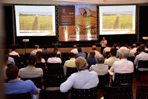 Semin&aacute;rio sobre a cultura do trigo: seguran&ccedil;a, produtividade e efici&ecirc;ncia