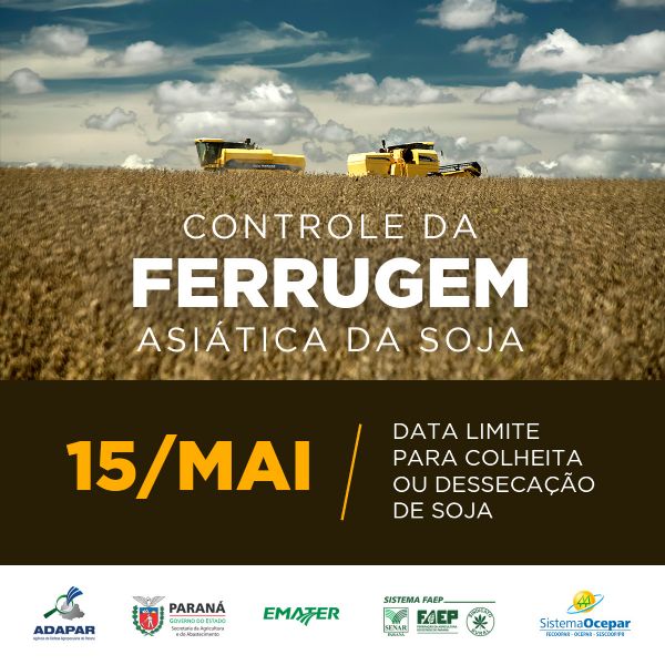 Data limite para colheita da soja &eacute; 15 de maio no Paran&aacute;