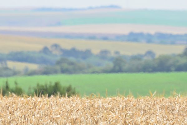 Contribui&ccedil;&atilde;o Sindical Rural vence neste dia 22 de maio