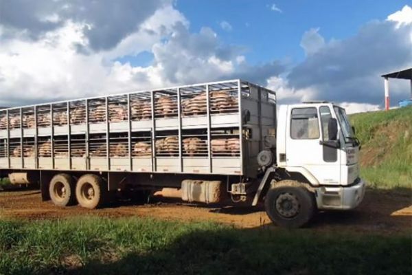  Ap&oacute;s press&atilde;o de produtores rurais, governo vai mudar tabela de fretes