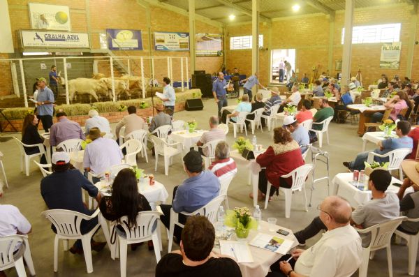44ª Feira Estadual de Bezerros de Guarapuava reafirma qualidade 