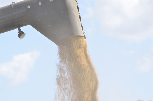 SOJA: Impasse com frete pode comprometer aumento da &aacute;rea em 2018/19