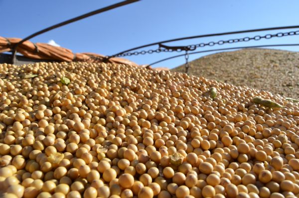 CNA levanta custos de produ&ccedil;&atilde;o de gr&atilde;os no Paran&aacute;