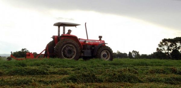 Curso do SENAR-PR transforma a vida de jovem, que troca cidade pelo campo