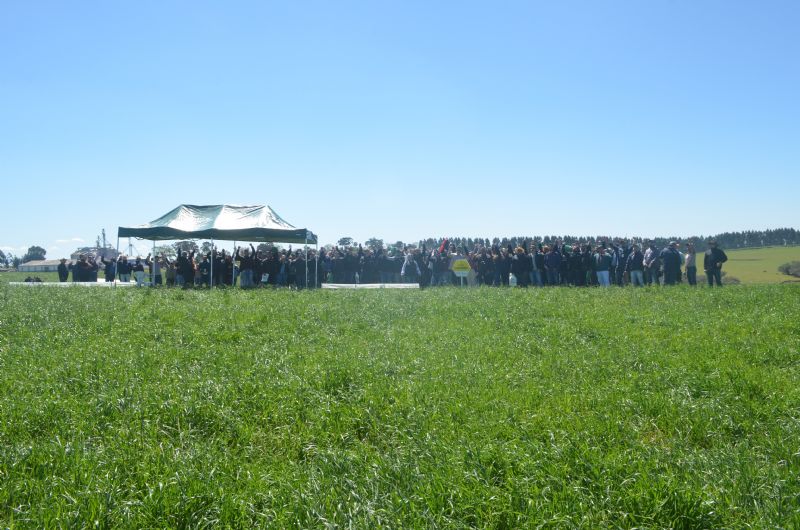 Pecu&aacute;ria Moderna: Dia de Campo Produ&ccedil;&atilde;o Integrada divulgou informa&ccedil;&otilde;es t&eacute;cnicas de qualidade 