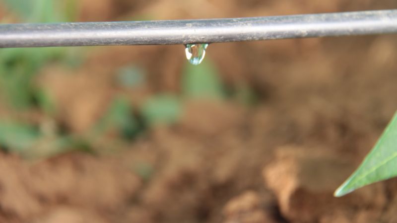 Sete dicas para gestão de água produtiva na sua lavoura