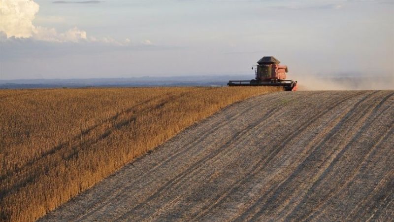 Colheita norte-americana progride apesar das chuvas
