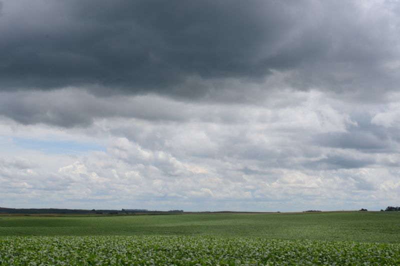 FAEP propõe ajustes ao programa estadual de seguro rural