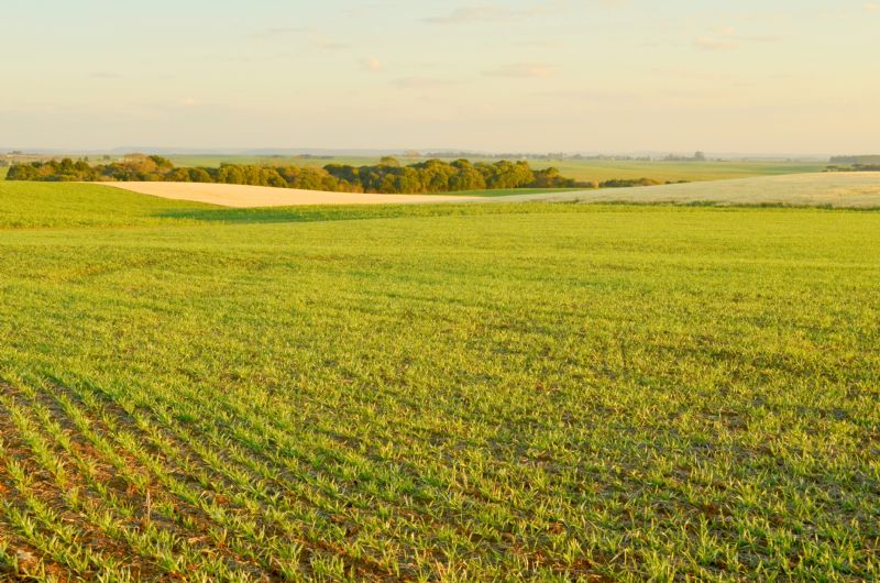 Incra já está emitindo Certificado de Cadastro de Imóvel Rural