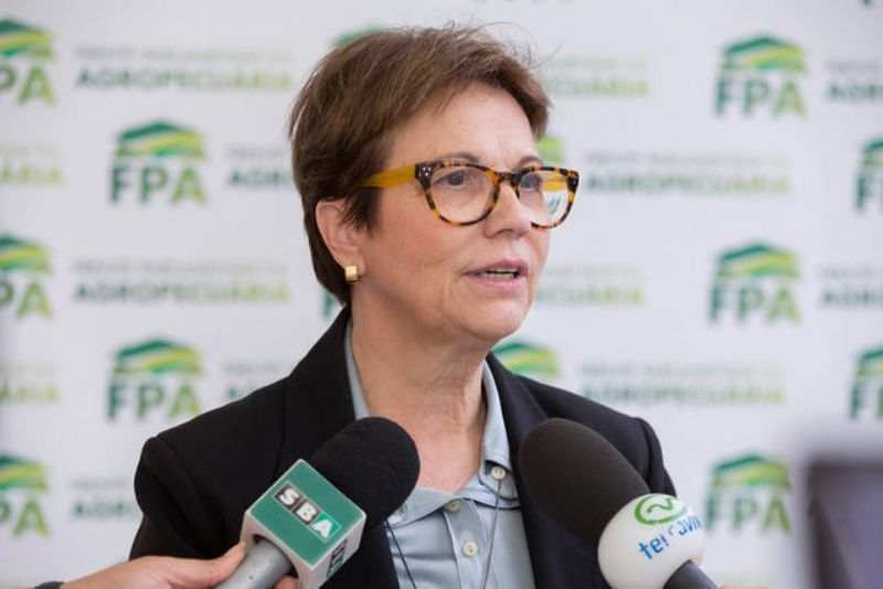 Tereza Cristina é a ministra da Agricultura do governo Bolsonaro