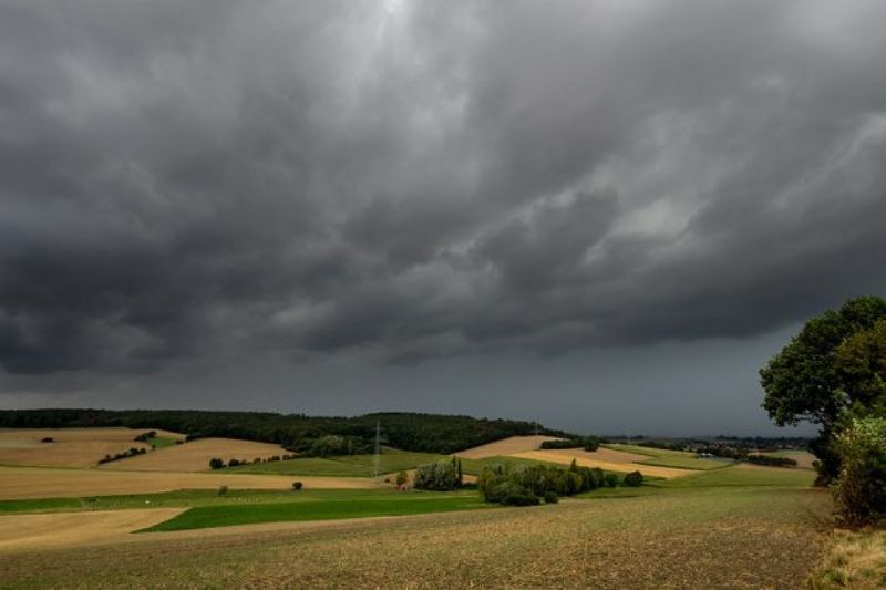 Após pedido da FAEP, Justiça suspende demarcação de terra indígena no Oeste do Paraná