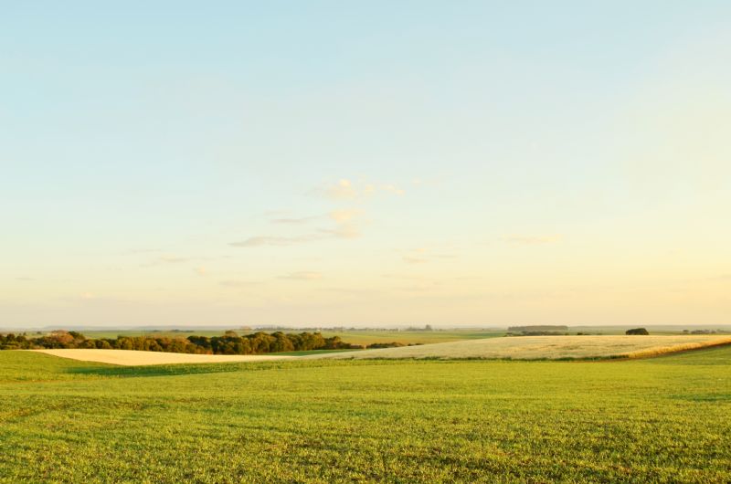 Governo prorroga prazo de adesão ao Funrural até 31 de dezembro