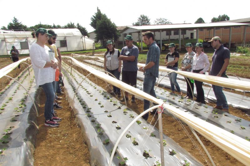 Total de cursos realizados em 2018 deve crescer 38%