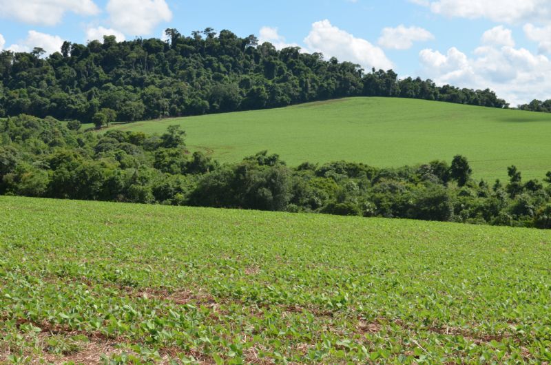 CAR é obrigatório para realizar operações de crédito, serviços e outros trâmites
