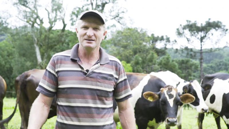 Pastagem de trigo traz bons resultados a pecuaristas