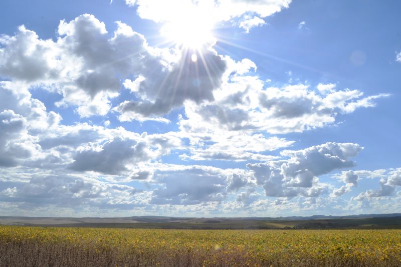  É HOJE: Sindicato Rural traz palestra com um dos maiores especialistas brasileiros em clima