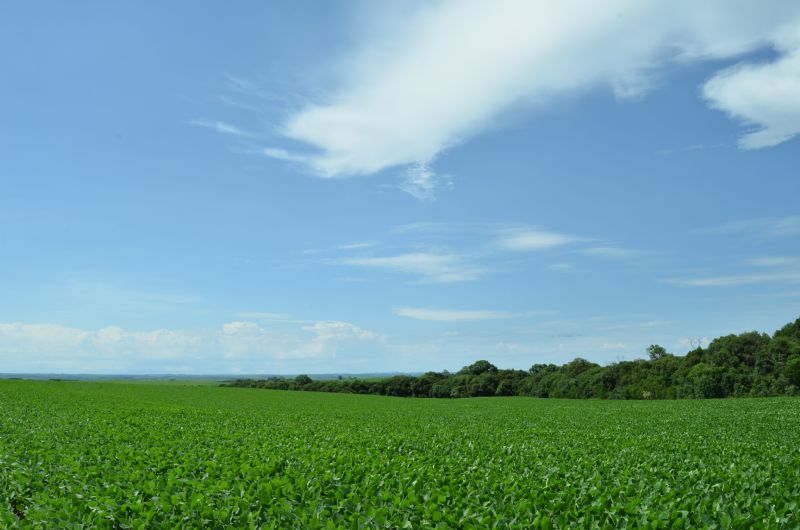 Cálculo do ITR não pode considerar benfeitorias na propriedade