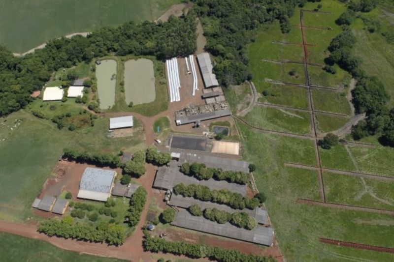 Paraná testa modelo que promete eletricidade mais estável