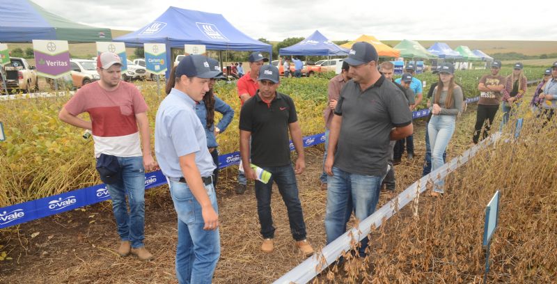 Dia de Campo da C.Vale destaca milho e soja 