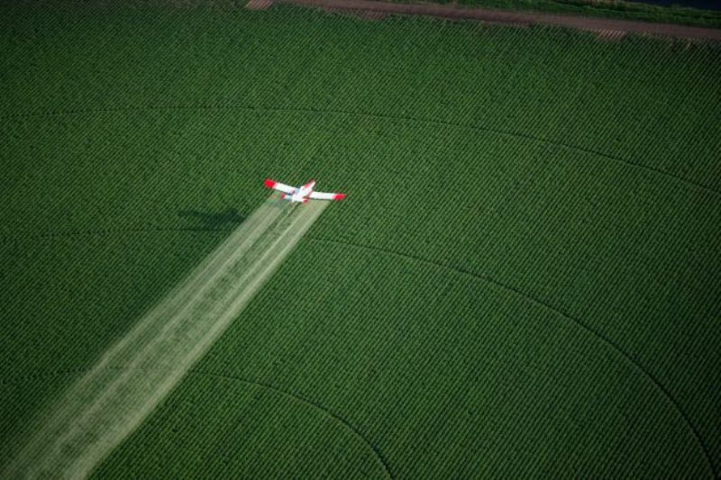 Segura, pulverização aérea é indispensável à agricultura