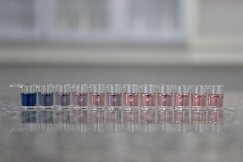 Fórum Nacional de Trigo 2019 debate os impactos dos novos limites de DON na pesquisa, no campo e na indústria