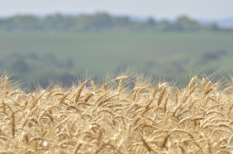 Mercado sob influência de diversas tendências 