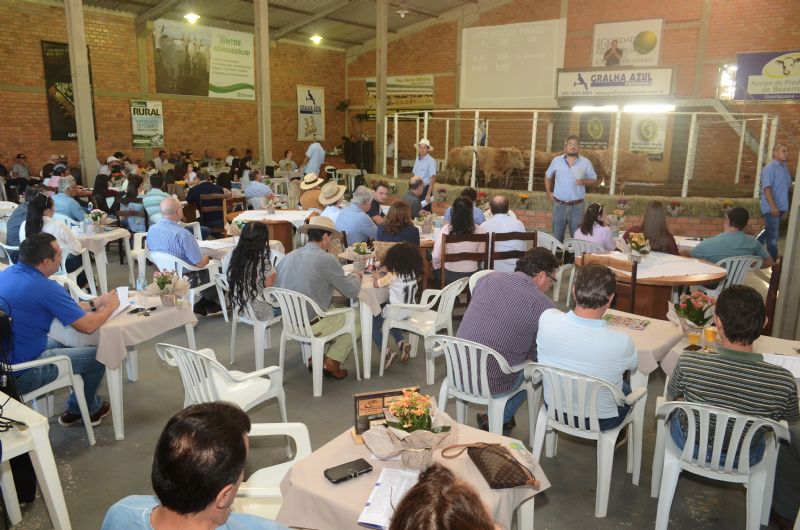 45ª Feira de Bezerros reafirma qualidade dos animais da região