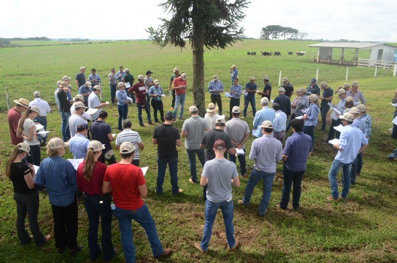 Cooperaliança dá início à Expedição Pecuária no PR