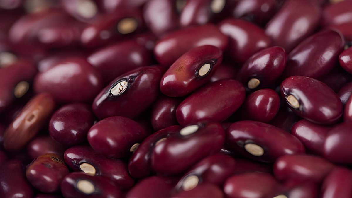 Mercado de feijão iniciou abril em queda, aponta indicador Cepea/CNA