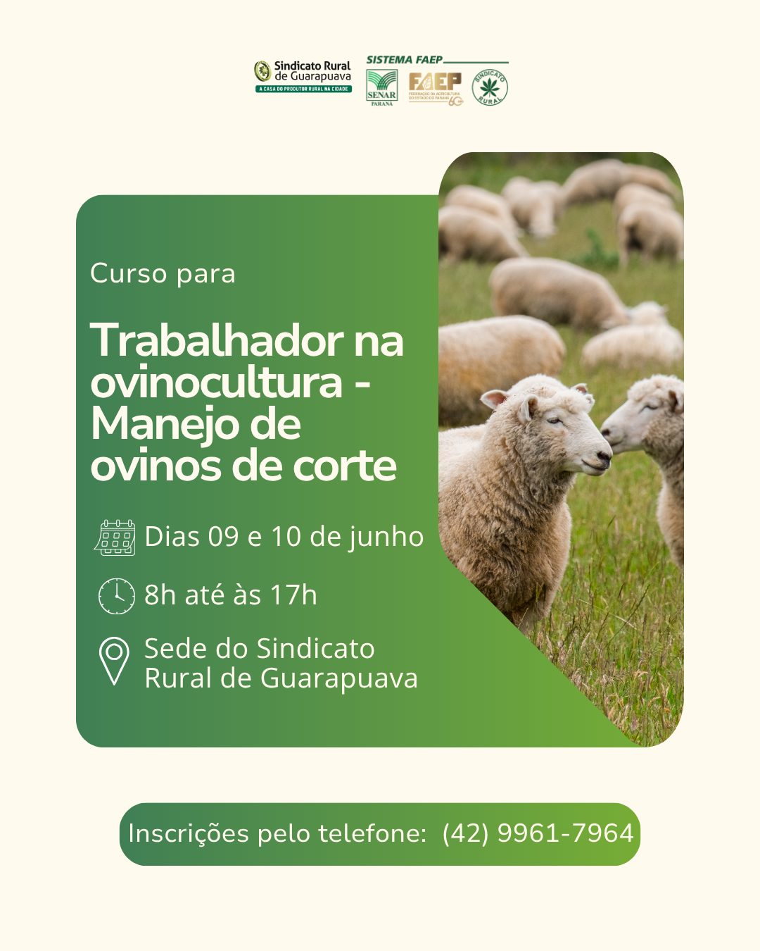 Vem aí o curso para Trabalhador na ovinocultura - Manejo de ovinos de corte