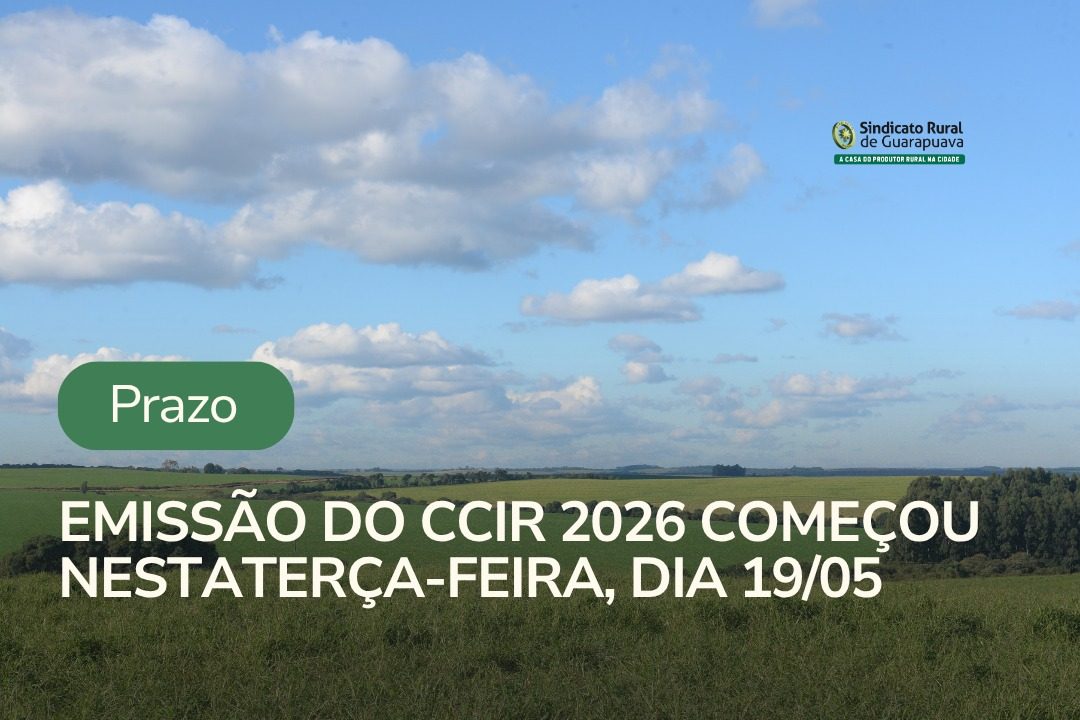 Emissão do CCIR 2026 começou nesta terça-feira (19)