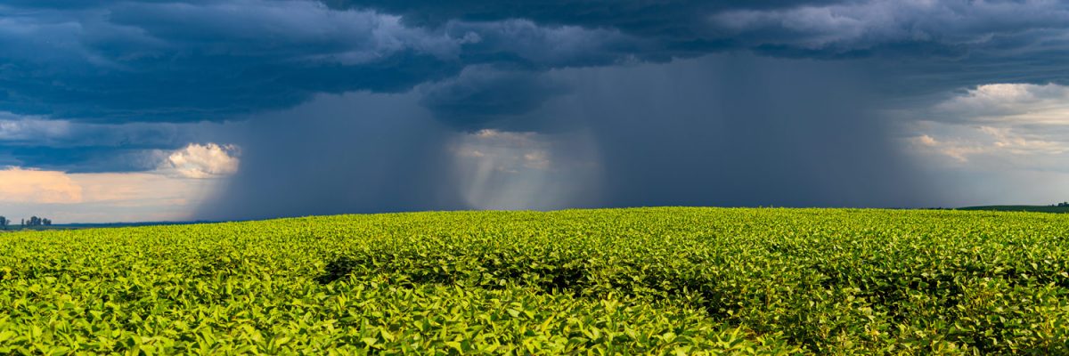 Produtor rural já pode manifestar interesse em aderir ao programa de renegociação de dívidas