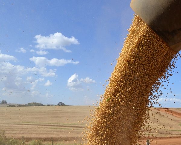 Sindicato Rural recebe, dia 16, Painel de Custos de Produção de Grãos