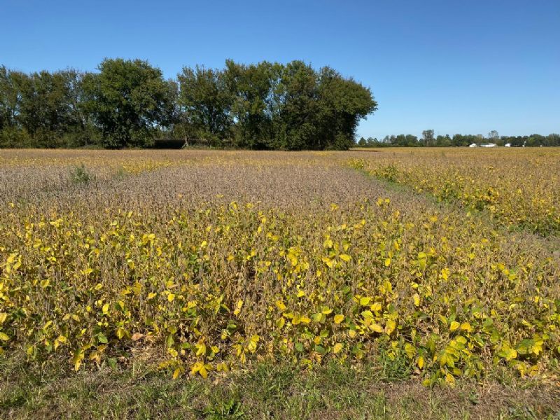 Panorama da agricultura no estado de Ohio nos Estados Unidos