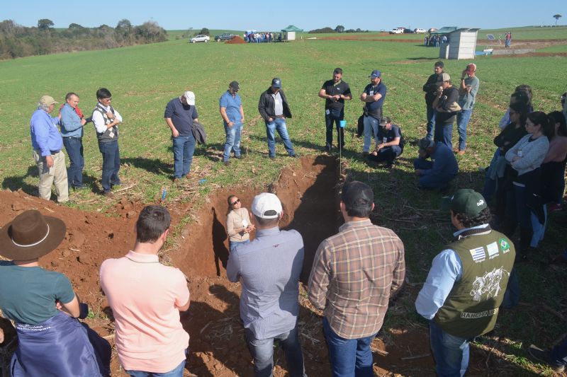 Evento cria comitê para avaliar plantio direto em nível regional