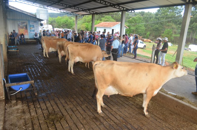 Simpósio da Bovinocultura de Leite: Conhecimento e inovação para a propriedade leiteira