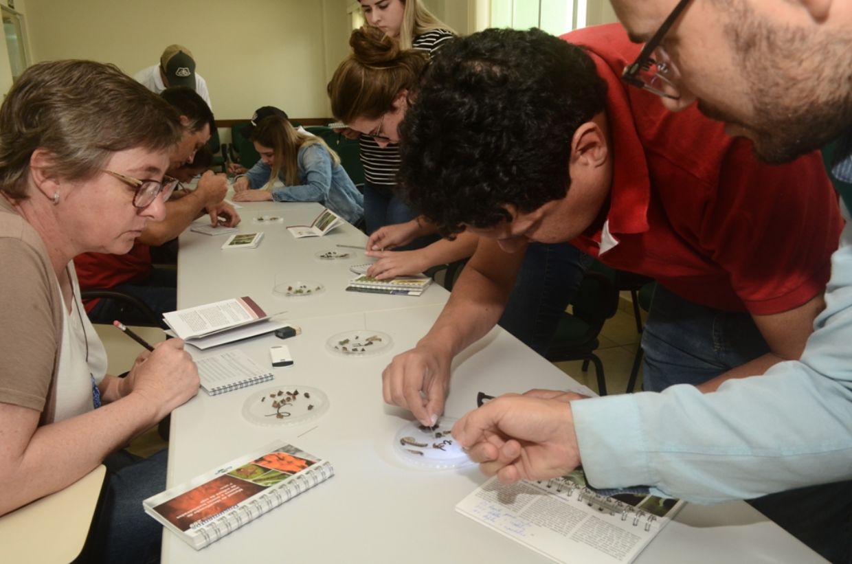 Sindicato Rural de Guarapuava: prossegue curso de Inspetor de Campo - MIP em Soja 