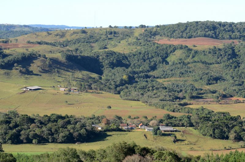 Multas do IBAMA baseadas na Lei da Mata Atlântica não são válidas, segundo a Faep e CNA