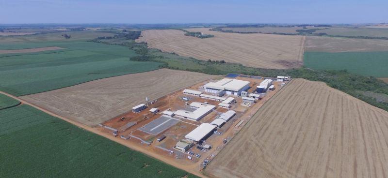 Cooperaliança prevê inaugurar frigorífico no primeiro semestre