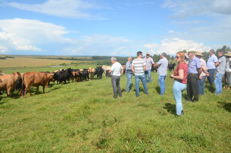Guarapuava e região na rota das viagens técnicas do agronegócio
