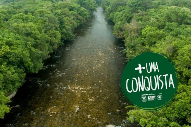 Governo reconhece prevalência do Código Florestal na Mata Atlântica