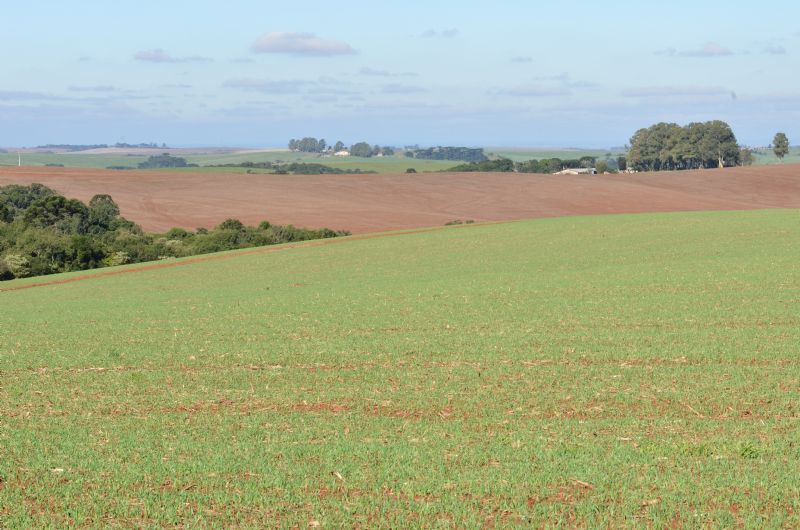 Receita Federal prorroga prazo para lançamento no Valor de Terra Nua
