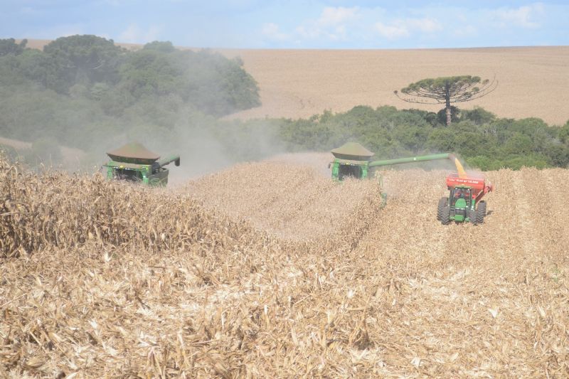 Pandemia: entre novos desafios, o setor rural segue produzindo