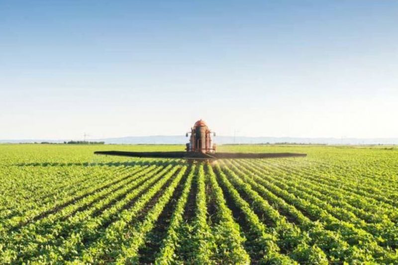 Proibição do Paraquate preocupa produtores do Paraná