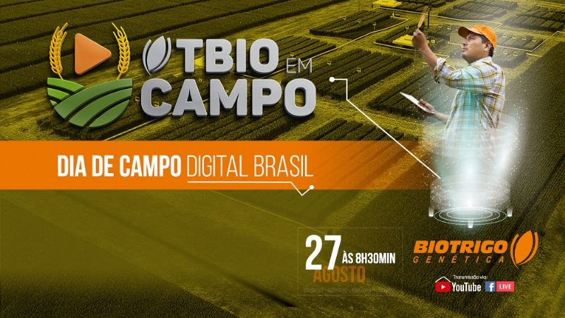 Dia de campo digital discute trigo como opção rentável e fortaleza agronômica