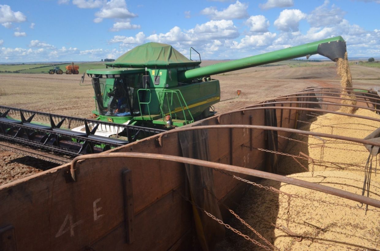 PIB tem queda recorde, mas agro mantém resultado positivo 