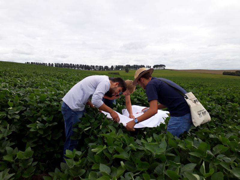 Guarapuava terá duas turmas do curso Inspetor MIP-Soja