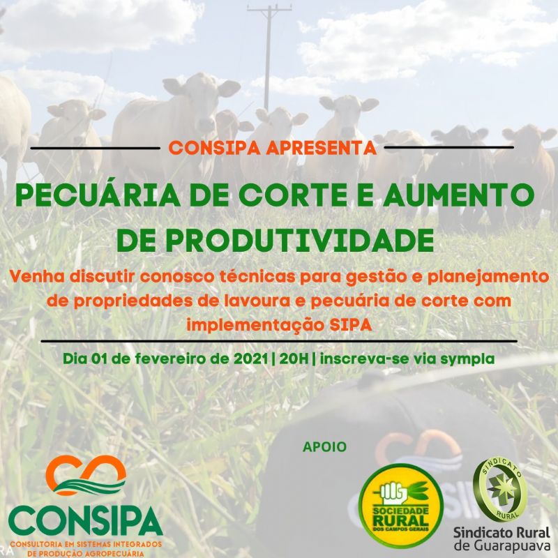 HOJE (01): Consipa realiza evento online sobre Pecuária de Corte e Aumento de Produtividade