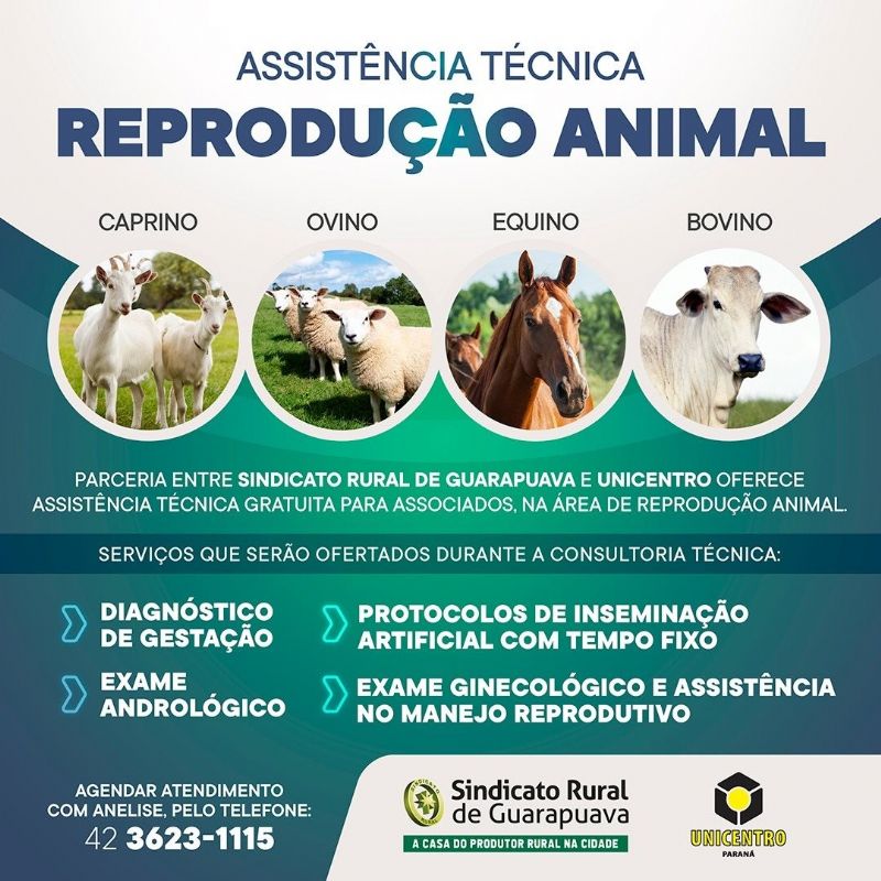 Parceria entre Sindicato Rural e Unicentro oferece assistência técnica gratuita para associados na área de reprodução animal